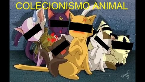 Colecionismo de animais (A&M-02)