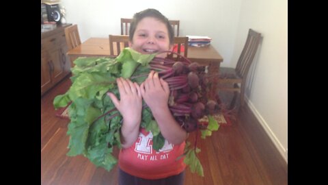 Pickling preserving Beetroot Beets