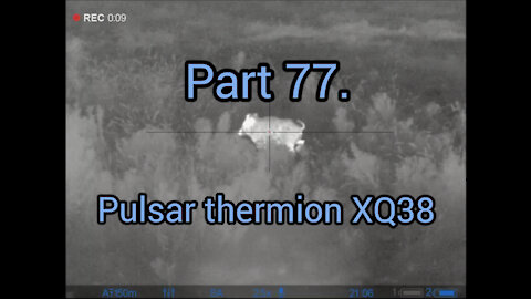 Part 77. Wildboar hunting, pulsar thermion xq38