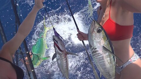Catching MAHI & TUNA on the SQUID RIG! Catch and Cook