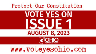 VOTE YES on August 8 to Protect Our Constitution.