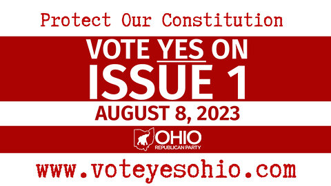 VOTE YES on August 8 to Protect Our Constitution.