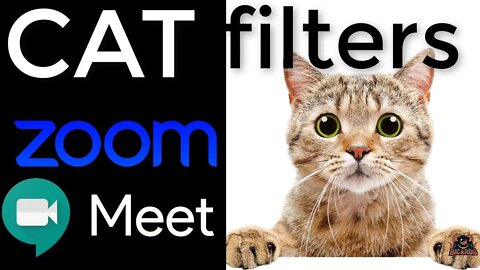Using a Cat Filter with Zoom and Google Meet