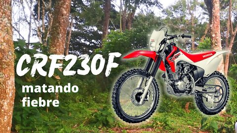 Honda CRF230f 💪matando fiebre - Moto FS