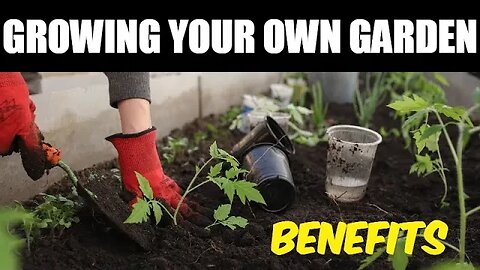Growing your own Garden
