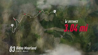 DiRT Rally 2 - RallyHOLiC 11 - Wales Event - Stage 3