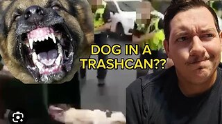 Dog Put into Trash Can in The UK