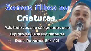 Somos filhos ou criaturas. #diogo #diogorufati #versiculododia #reflexão #metanoia