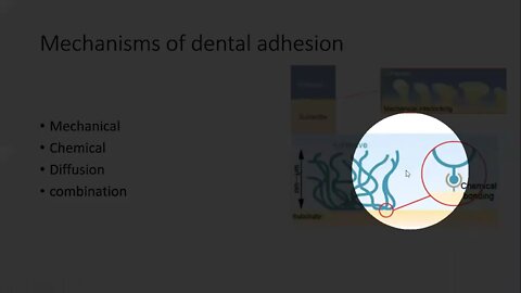 Operative L15 part1 (Dental adhesion)