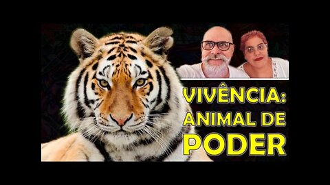 Vivência: ANIMAL DE PODER