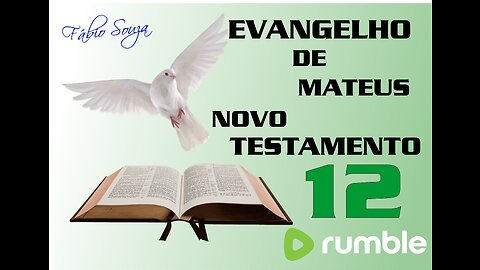 EVANGELHO DE MATEUS PARTE 12 NOVO TESTAMENTO