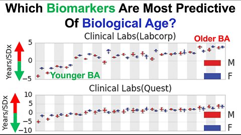 Which Biomarkers Are Most Predictive Of Biological Age?