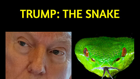 Trump: The Snake