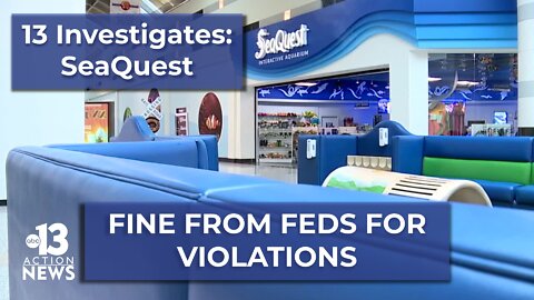 SeaQuest hit with fine from feds for Animal Welfare Act violations