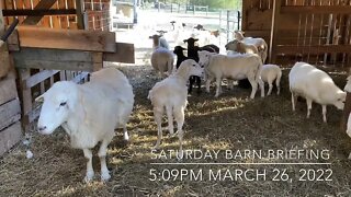 Barn Briefing- March 26, 2022