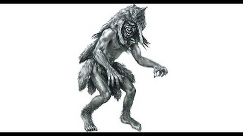 Monsters Are There Real: What is a SkinWalker