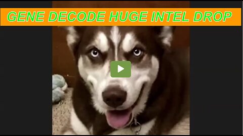 GENE DECODE W/ INTEL DROP MID FEB. UPDATES ON UKRAINE, DUMBS & MORE THX SGANON