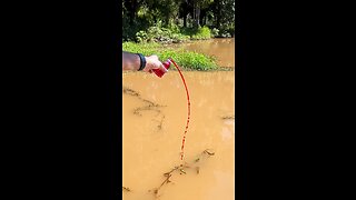 This concentrated worm bait catches all FISH in fishing 🐟🎣