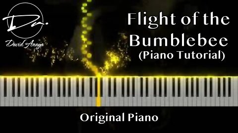 Flight of the Bumblebee (Rimsky Korsakov) | David Anaya