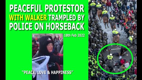 Peaceful Protestors get Trampled by Police on Horseback