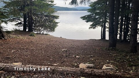 TOP 8 COUNTDOWN OF BEST CAMPSITES ACROSS ALL Campgrounds @ Timothy Lake! | 4K | Mount Hood | Oregon