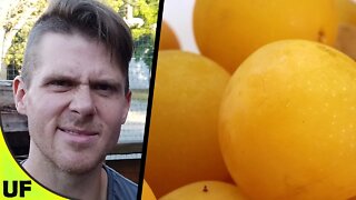 Wild Yellow Plum | Mirabelle Plum Taste Test | Unusual Foods