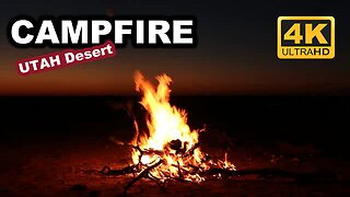 Relaxing Campfire | Fireplace Outback Wind Crackling Fire (4 Hours) | Natural Sounds