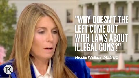 MSNBC's Nicolle Wallace has a BRILLIANT Idea for The Political Left