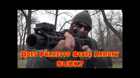 Does Palmetto State Armory SUCK?