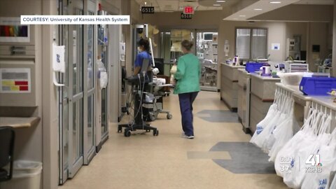 Spike in sicknesses concerns doctors going into holiday season