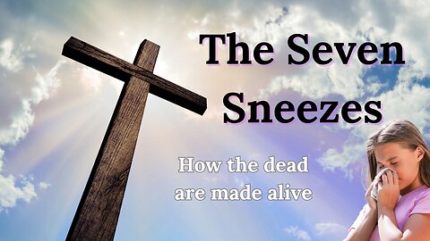 The Seven Sneezes
