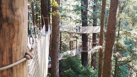 Travel Adventure California - Big Surprises in the Mysterious Redwood Forests