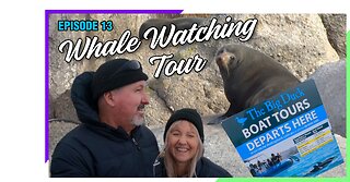 Whale watching tour