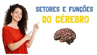 Conheça os setores do cérebro e as suas funções (Ciência e Psicologia)