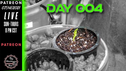 The Watchman News - Day 004 Daily VLOG - Apartment Size Indoor Economic Hybrid Hydroponic Gardening