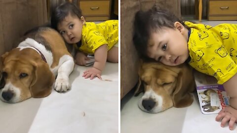 Baby Preciously Cuddles With Doggy Best Friend