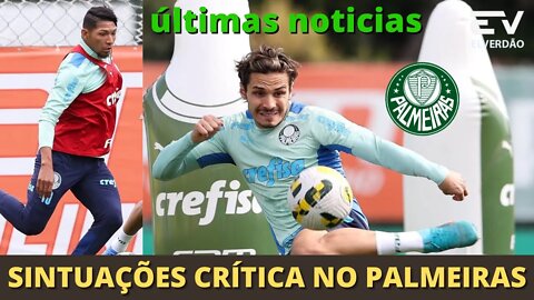 Palmeiras trabalha expectativa sobre situações de Rony e Raphael "é crítico" #noticiasdopalmeiras
