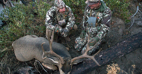 Not known Details About Hunting Ethics and Responsible Practices in America