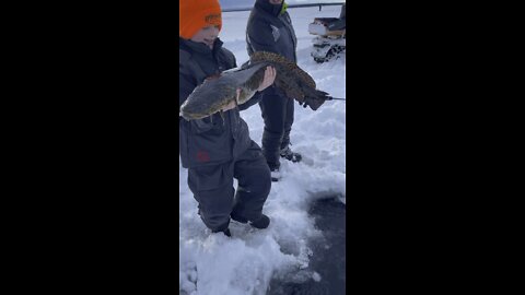 The kid’s first Burbot.