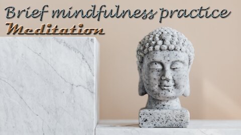 This is a 4 minute guided mindfly morning meditation to start the day on a positive note.