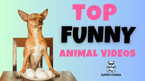 Try not to LAUGH ! (Part 1) The Ultimate Compilation of Funny Animal Videos