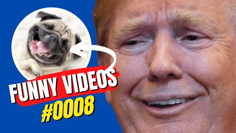 Funny Videos #0008