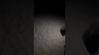 Travelling the beach at night