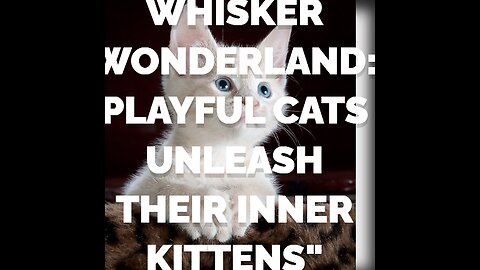 Whisker Wonderland: Playful Cats Unleash Their Inner Kittens