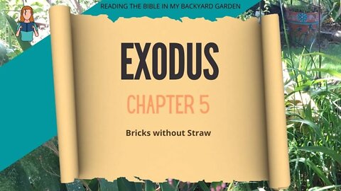 Exodus Chapter 5 | NRSV Bible Reading