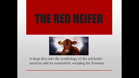 The Red Heifer Part 1: From the Garden to the Kingdom
