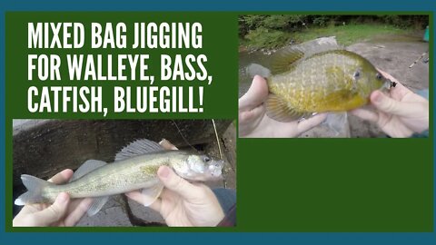 Mixed Bag Jig Fishing For Walleye, Smallmouth Bass, Channel Catfish and Bluegill