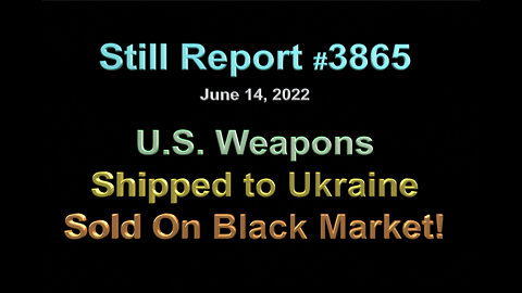 U.S. Weapons Shipped to Ukraine Sold On Black Market, 3865