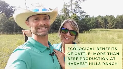 Ecological Benefits of Cattle, More than Beef Production at Harvest Hills Ranch