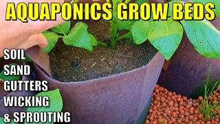 5 Aquaponics Grow Bed Ideas | Soil - Wicking - Sand - Gutter Beds - Sprouting Grain